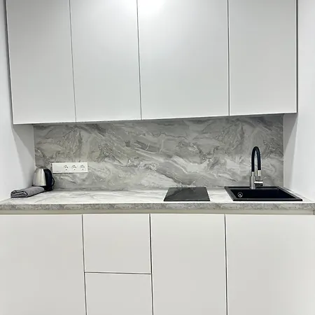 Silvia 101 Apartment Druskininkai