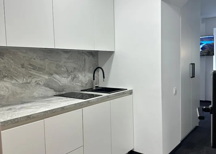 Apartment Silvia 101 Druskininkai