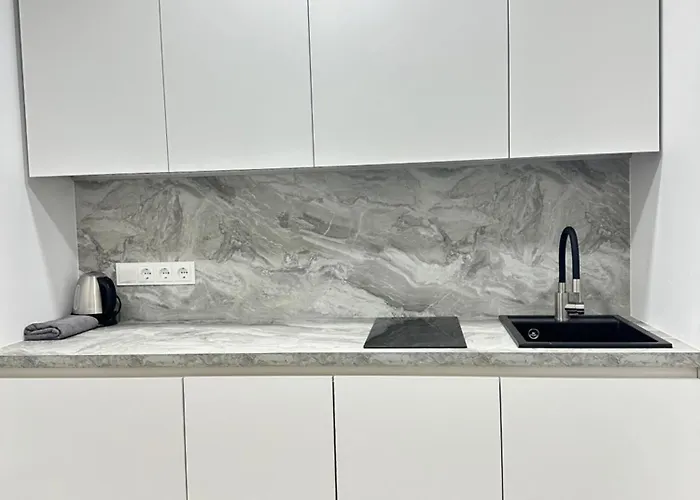 Silvia 101 Apartment Druskininkai