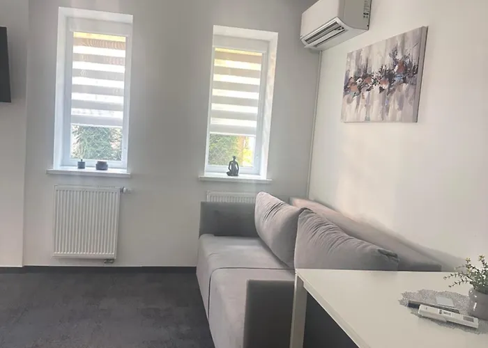 Silvia 101 * Druskininkai